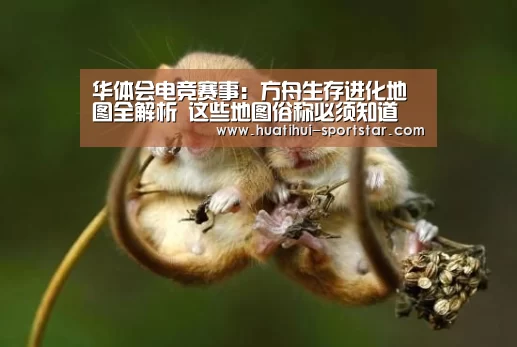 华体会电竞赛事:方舟生存进化地图全解析 这些地图俗称必须知道(图3) 华体会电竞赛事