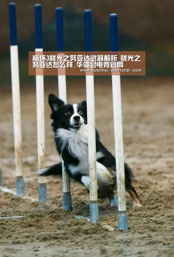 崩坏3胧光之努亚达武器解析 胧光之努亚达怎么样_华体会电竞官网(图2) 华体会电竞APP