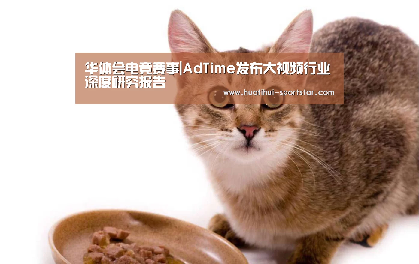华体会电竞赛事
