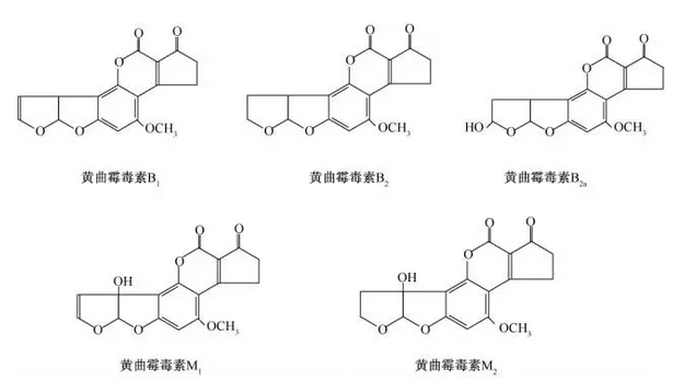 华体会电竞官网