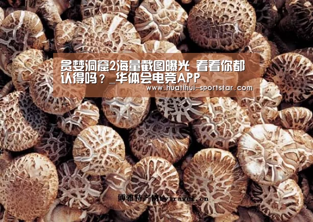 贪婪洞窟2海量截图曝光 看看你都认得吗?_华体会电竞APP(图1) 华体会电竞赛事